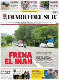 El Diario del Sur