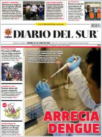 El Diario del Sur