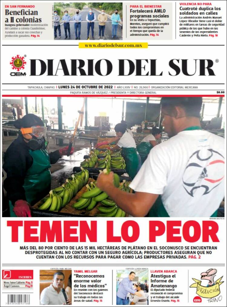 Portada de El Diario del Sur (México)
