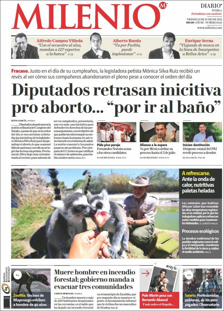 Portada de Milenio de Puebla (Mexique)