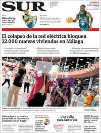 Diario el Sur