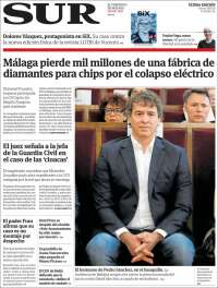 Diario el Sur