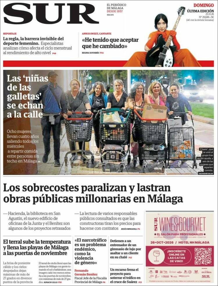 Portada de Diario el Sur (Spain)