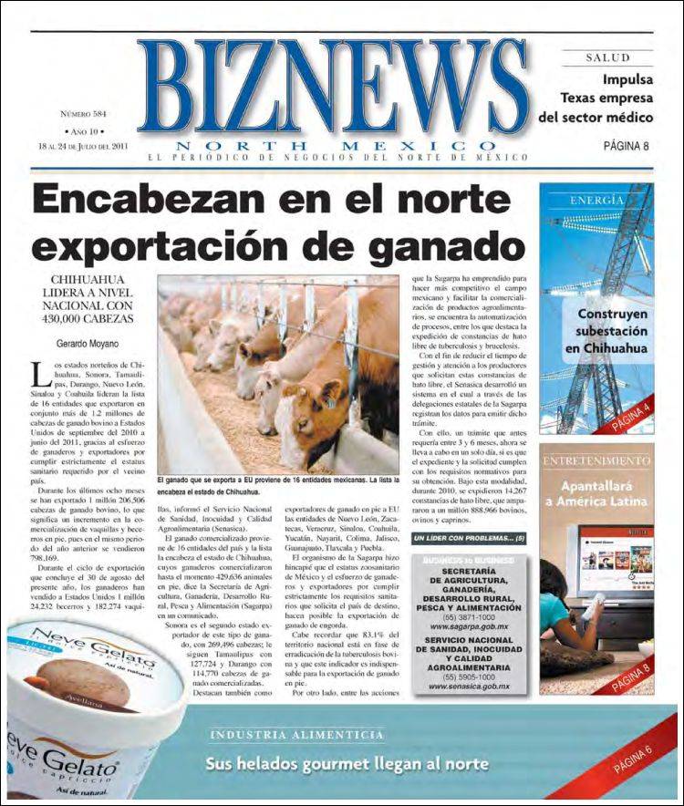 Portada de BizNews (Mexico)