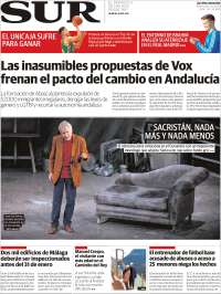 Diario el Sur