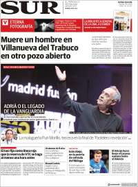Diario el Sur
