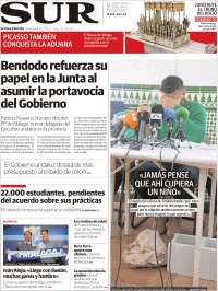 Diario el Sur