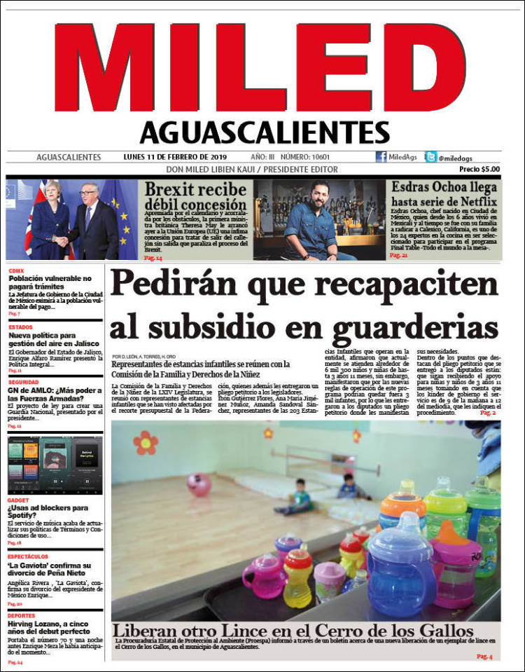 Portada de Miled - Aguascalientes (M&eacute;xico)