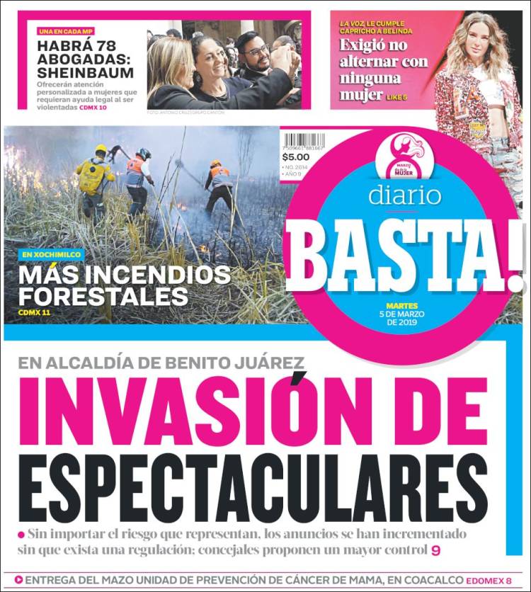 Portada de Diario Basta (México)