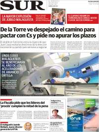 Diario el Sur