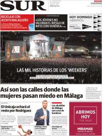 Diario el Sur