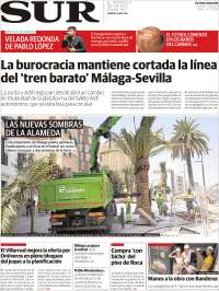 Diario el Sur