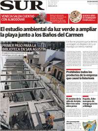 Diario el Sur