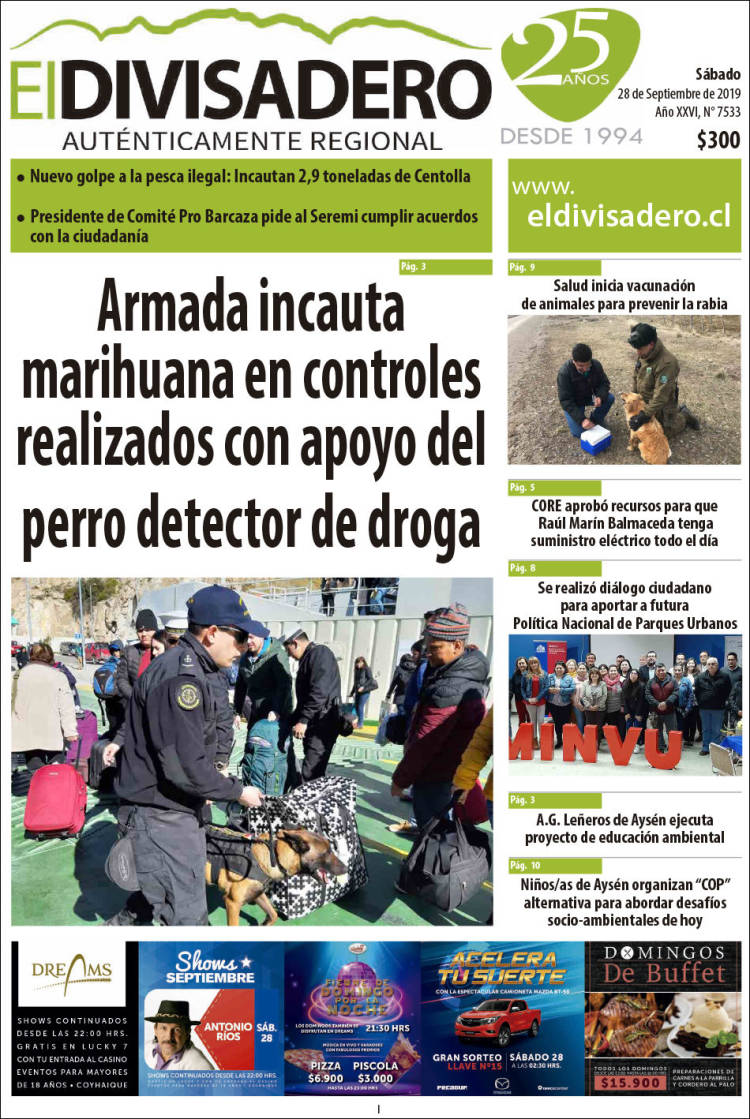 Portada de Diario El Divisadero (Chile)