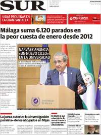 Diario el Sur