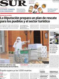 Diario el Sur