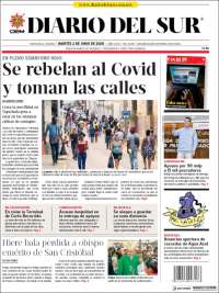 El Diario del Sur