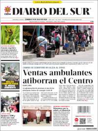 El Diario del Sur