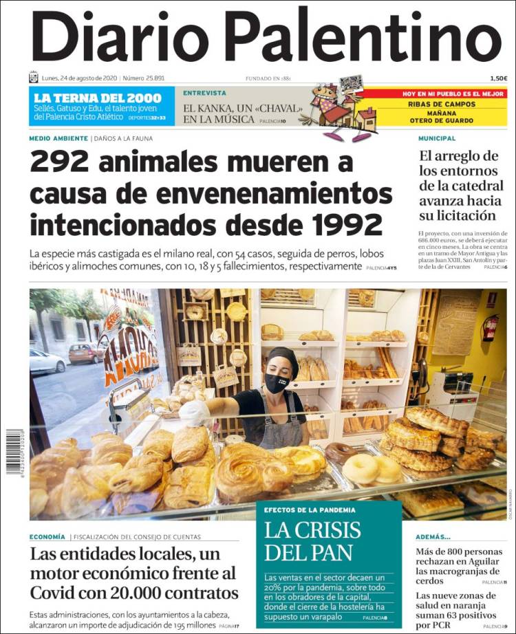 Portada de Diario Palentino (Espa&ntilde;a)