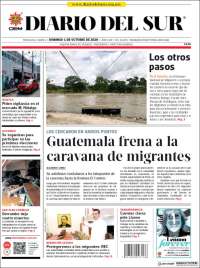 El Diario del Sur