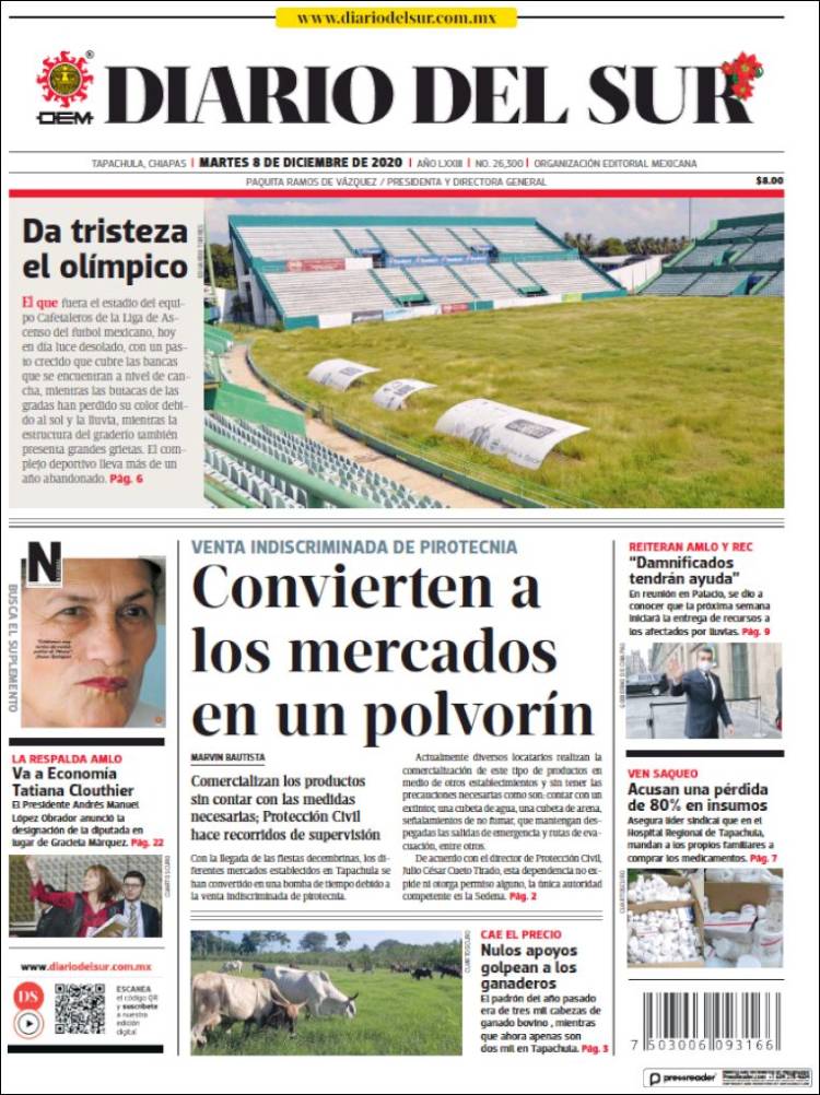 Portada de El Diario del Sur (Mexico)