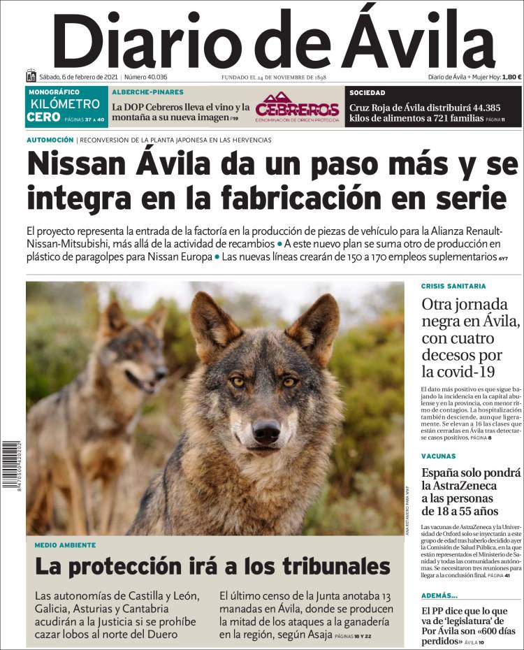 Portada de Diario de Ávila (España)