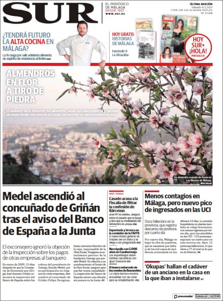 Portada de Diario el Sur (España)