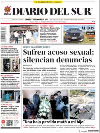 El Diario del Sur