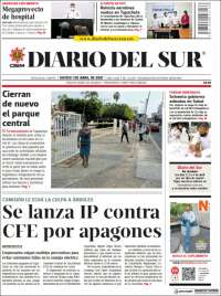 El Diario del Sur