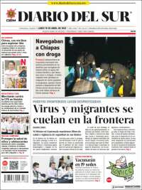 El Diario del Sur