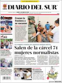 El Diario del Sur