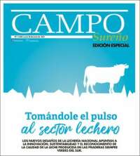 El Austral de Temuco