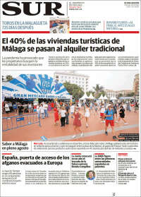 Diario el Sur