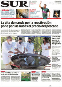 Diario el Sur