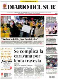El Diario del Sur