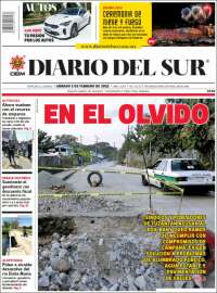 El Diario del Sur