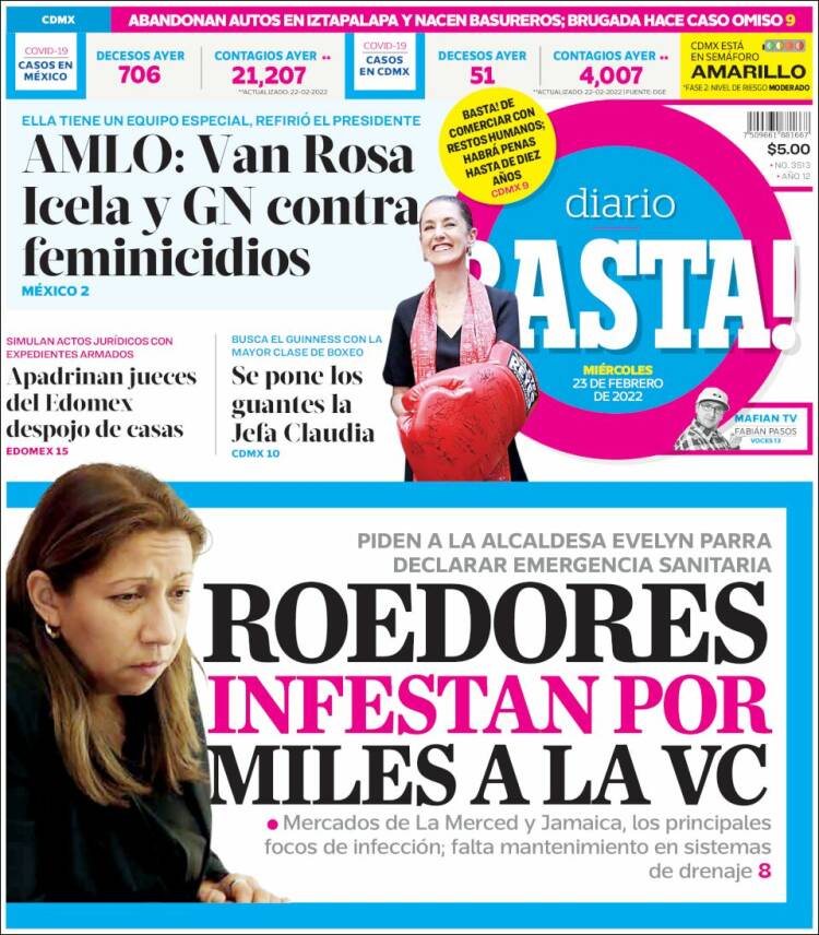 Portada de Diario Basta (México)