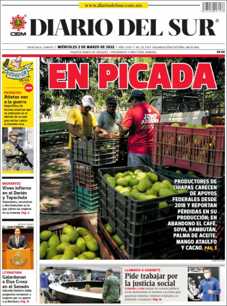 Portada de El Diario del Sur (Mexico)