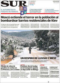 Diario el Sur