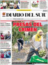El Diario del Sur