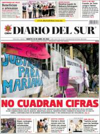 El Diario del Sur