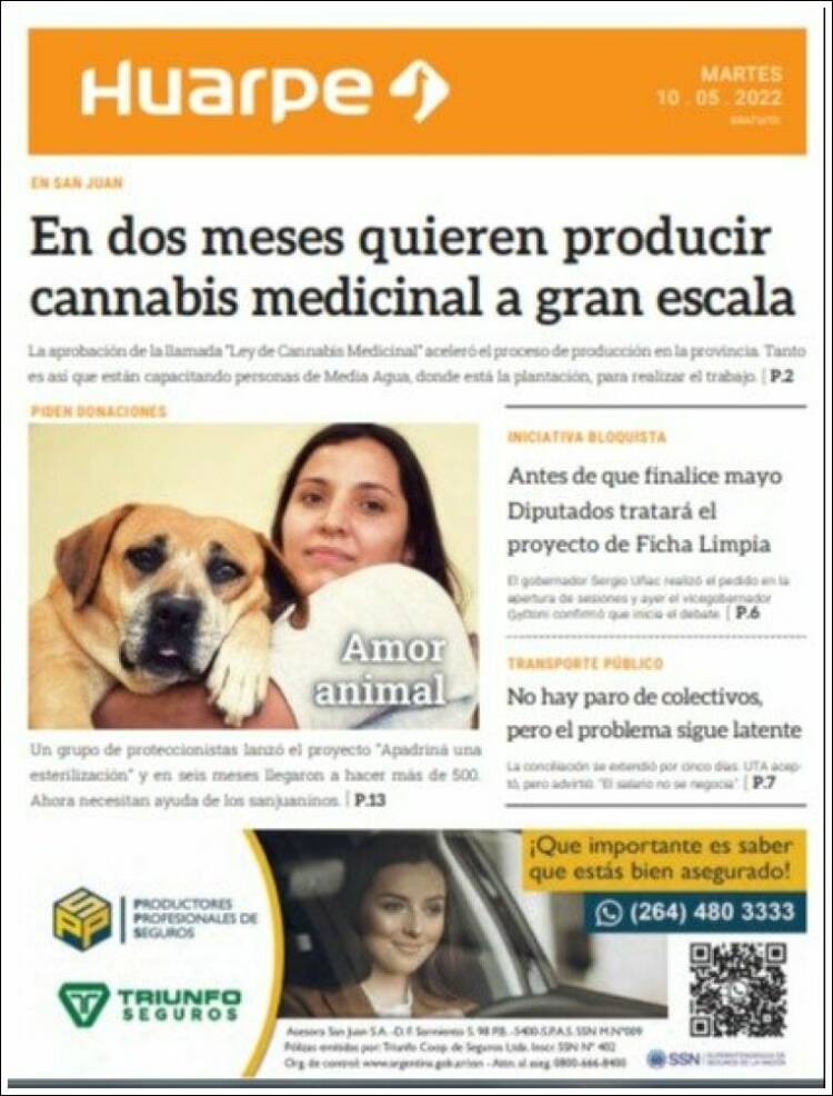 Portada de Huarpe (Argentina)