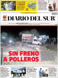 El Diario del Sur