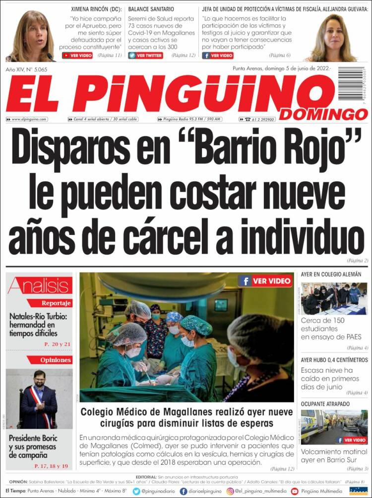 Portada de El Pingüino (Chile)