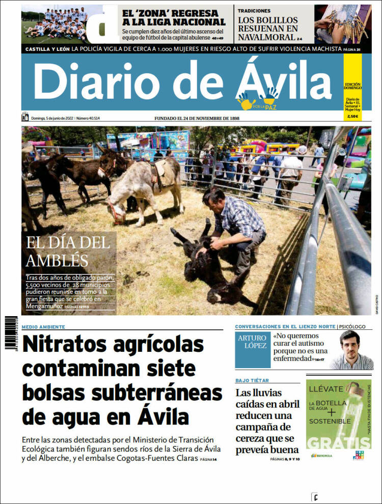 Portada de Diario de Ávila (España)
