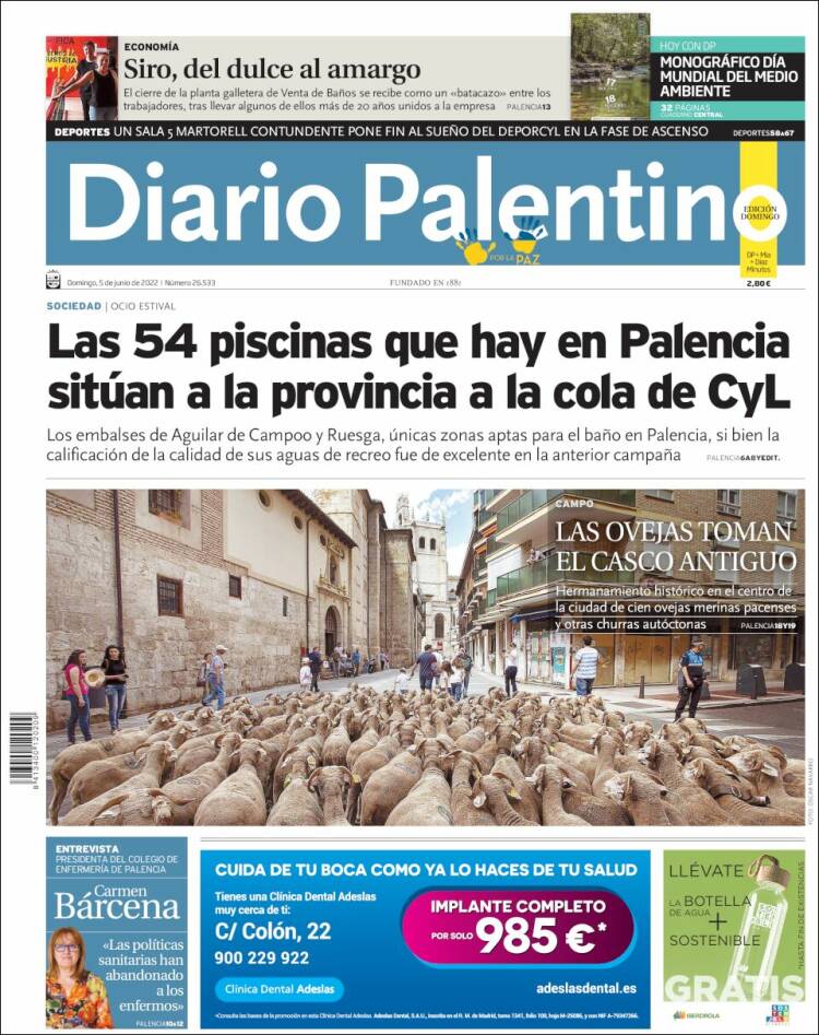 Portada de Diario Palentino (España)