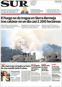 Diario el Sur