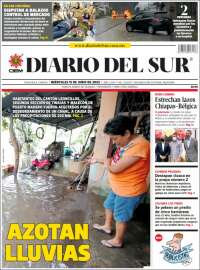 El Diario del Sur