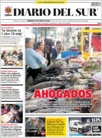 El Diario del Sur