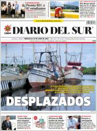 El Diario del Sur